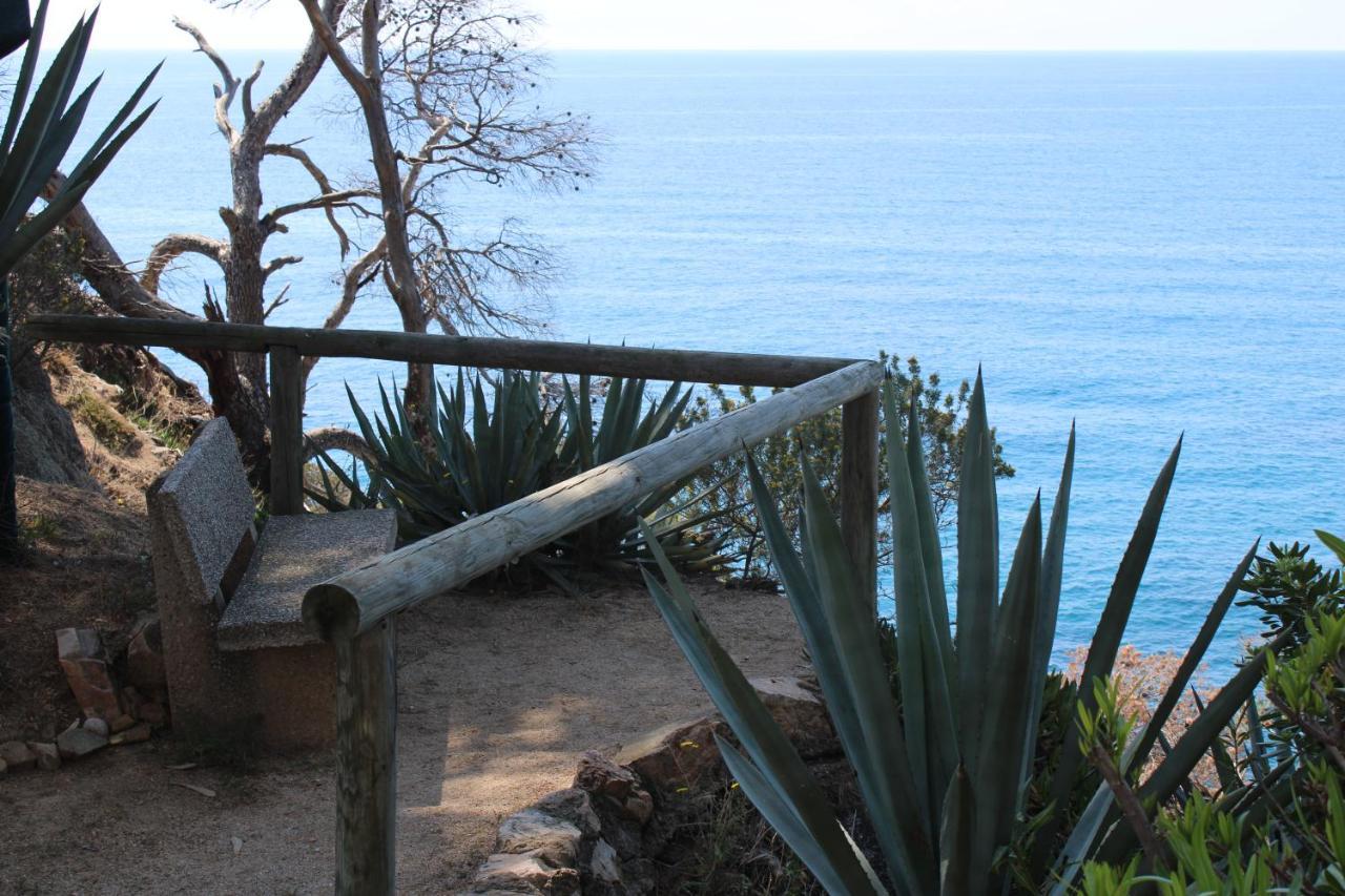 Apartamento A 100M De La Playa Tossa de Mar Luaran gambar